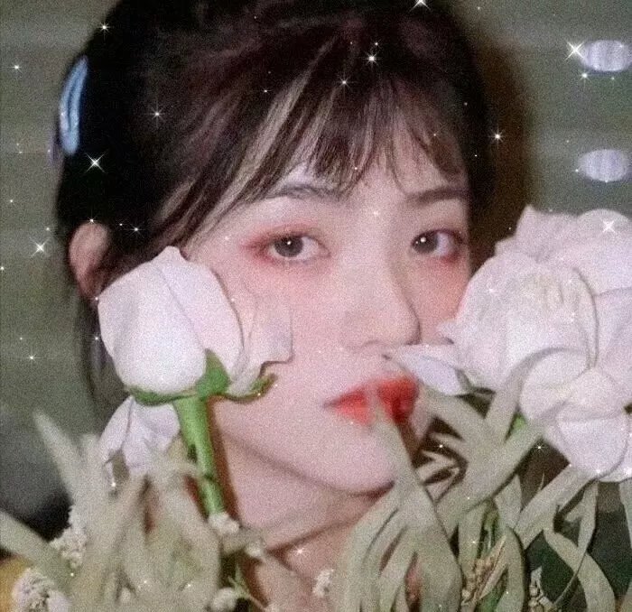 动物频道